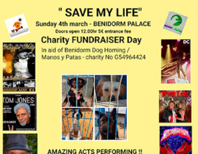 "Sabe my life" Charity Fundraiser Day