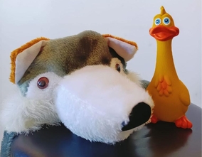 The Tale of the Wolf and the Ducks